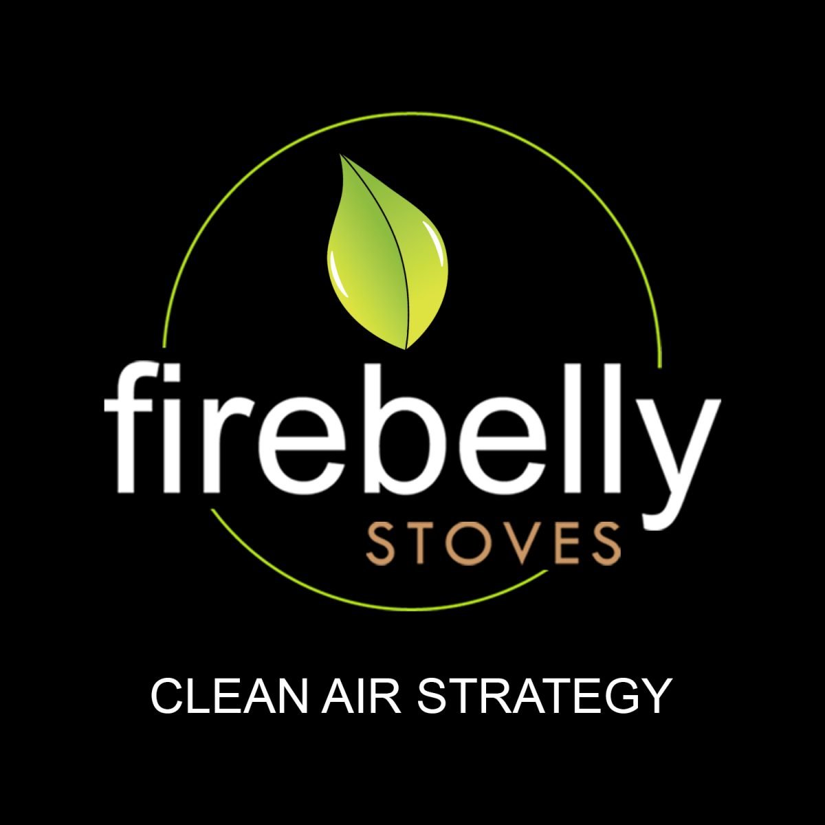 Firebelly FB3 Wood Burning Stove